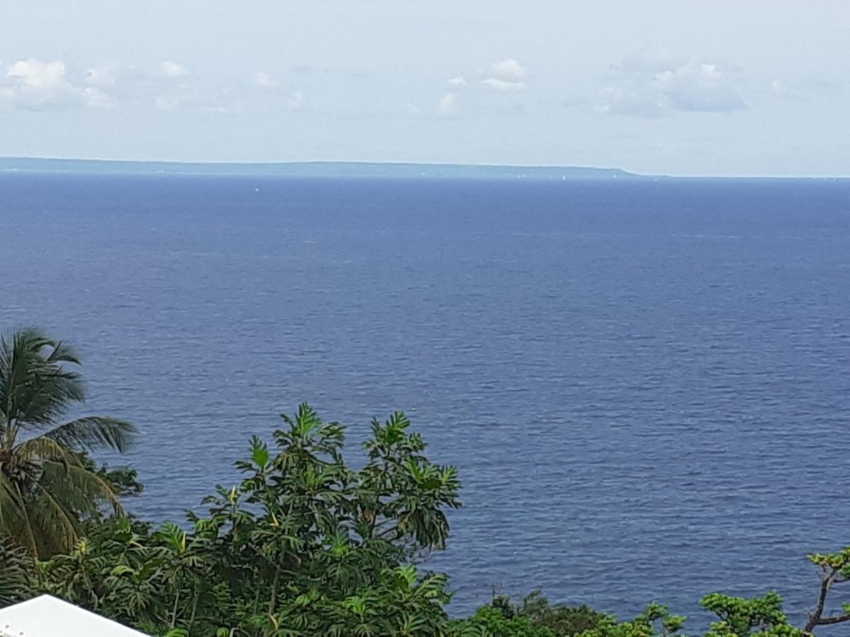 Awmony'Kaz, Gite A Trois-Rivieres Guadeloupe Ngoại thất bức ảnh