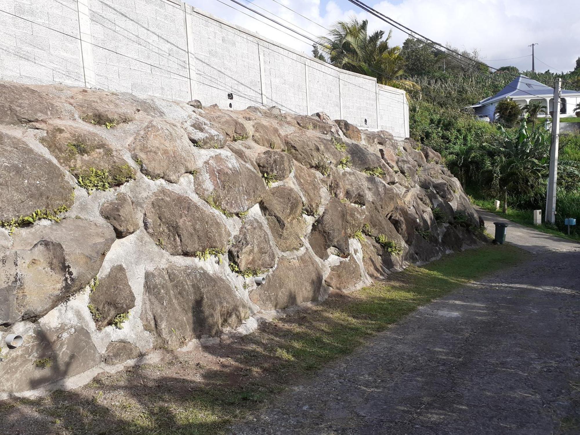 Awmony'Kaz, Gite A Trois-Rivieres Guadeloupe Ngoại thất bức ảnh