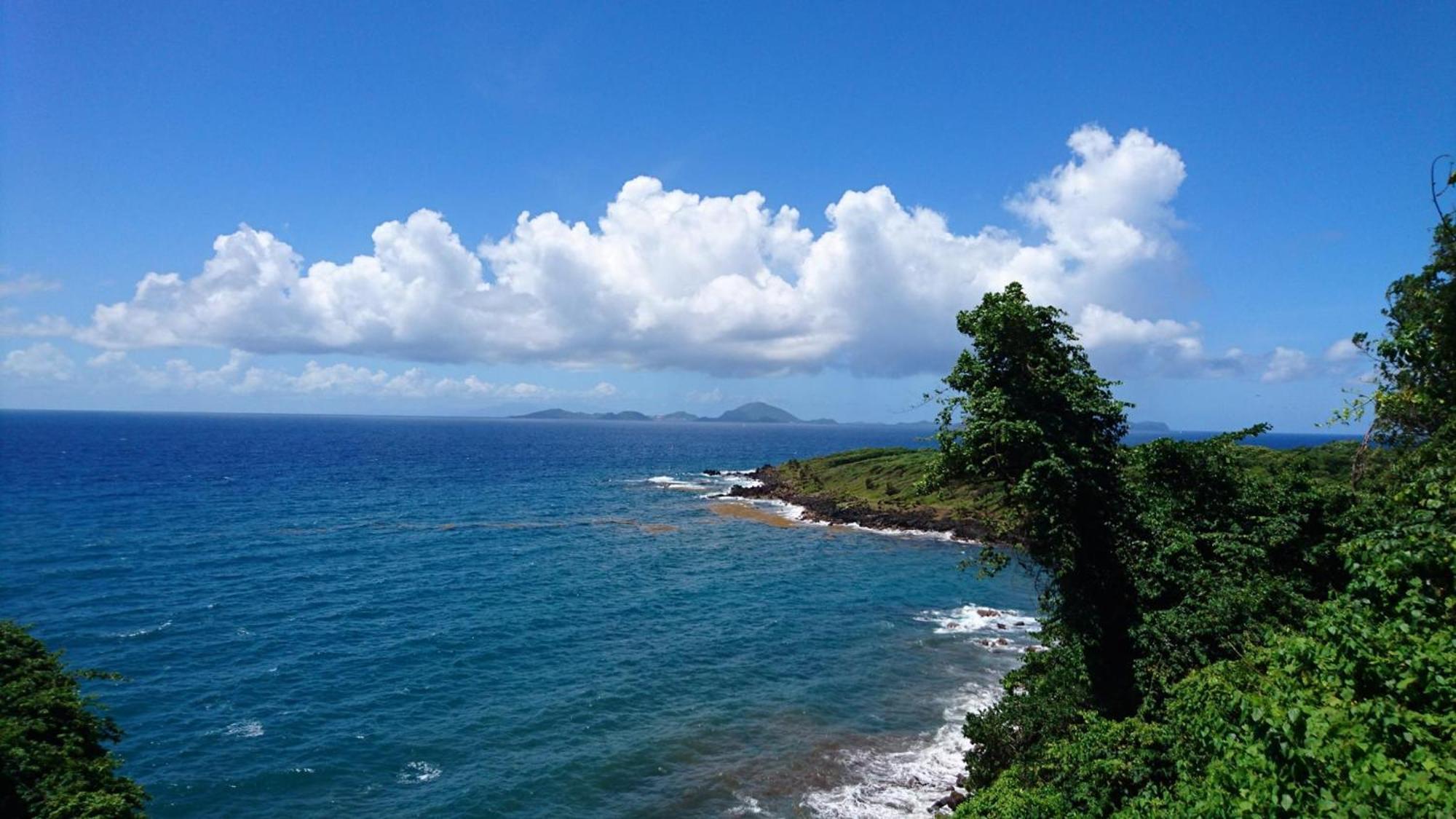 Awmony'Kaz, Gite A Trois-Rivieres Guadeloupe Ngoại thất bức ảnh