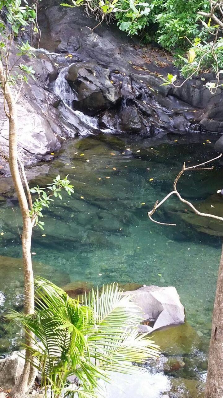 Awmony'Kaz, Gite A Trois-Rivieres Guadeloupe Ngoại thất bức ảnh